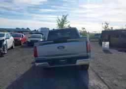 2025 FORD F150 XLT