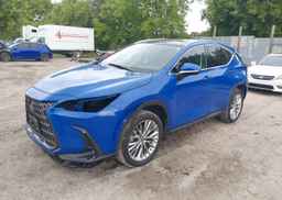 2024 LEXUS NX 350H