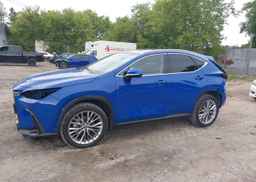 2024 LEXUS NX 350H