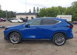 2024 LEXUS NX 350H