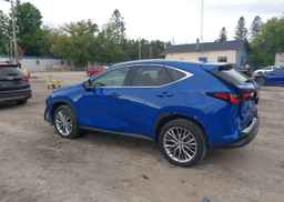 2024 LEXUS NX 350H