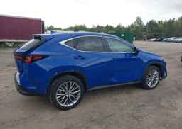 2024 LEXUS NX 350H