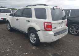 2012 FORD ESCAPE XLT