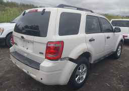 2012 FORD ESCAPE XLT