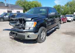 2014 FORD F-150 XLT