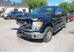 2014 FORD F-150 XLT