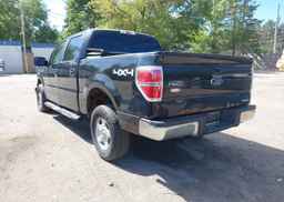2014 FORD F-150 XLT