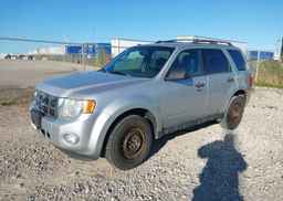 2012 FORD ESCAPE XLT
