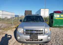 2012 FORD ESCAPE XLT