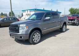 2013 FORD F-150 PLATINUM