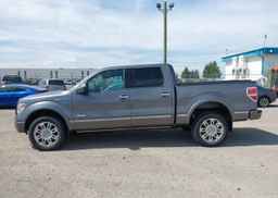 2013 FORD F-150 PLATINUM