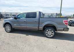 2013 FORD F-150 PLATINUM