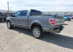 2013 FORD F-150 PLATINUM