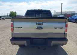 2013 FORD F-150 PLATINUM