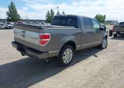 2013 FORD F-150 PLATINUM