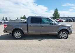 2013 FORD F-150 PLATINUM