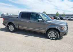 2013 FORD F-150 PLATINUM