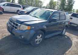 2009 FORD ESCAPE XLT