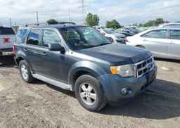 2009 FORD ESCAPE XLT
