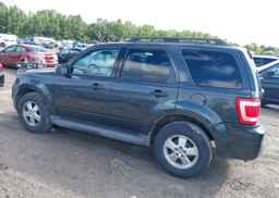 2009 FORD ESCAPE XLT