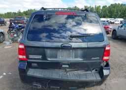 2009 FORD ESCAPE XLT