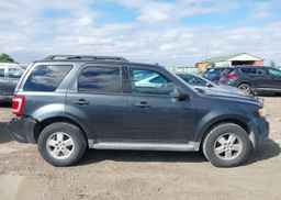 2009 FORD ESCAPE XLT
