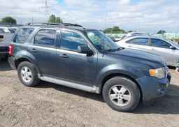 2009 FORD ESCAPE XLT