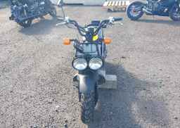 2023 HONDA NPS50