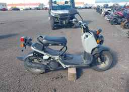 2023 HONDA NPS50