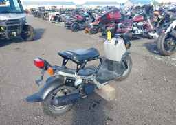 2023 HONDA NPS50