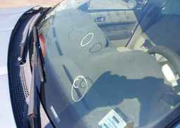 2009 FORD FOCUS SE