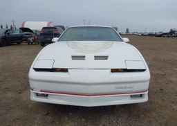 1986 PONTIAC FIREBIRD TRANS AM