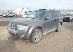 2010 FORD ESCAPE LIMITED