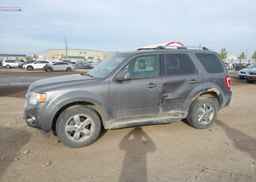 2010 FORD ESCAPE LIMITED
