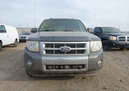 2010 FORD ESCAPE LIMITED