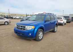 2012 FORD ESCAPE XLT