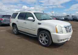 2007 CADILLAC ESCALADE LUXURY