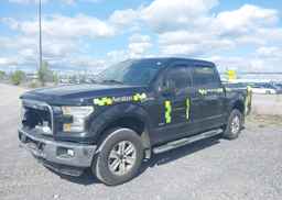 2016 FORD F-150 XLT