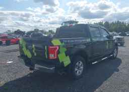 2016 FORD F-150 XLT
