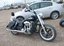 2016 HARLEY-DAVIDSON FLD SWITCHBACK