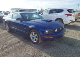 2008 FORD MUSTANG GT