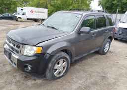 2011 FORD ESCAPE XLT