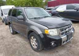 2011 FORD ESCAPE XLT