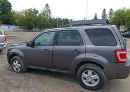 2011 FORD ESCAPE XLT