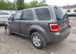 2011 FORD ESCAPE XLT