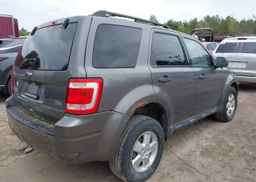 2011 FORD ESCAPE XLT