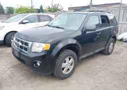 2010 FORD ESCAPE XLT