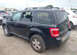 2010 FORD ESCAPE XLT