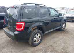 2010 FORD ESCAPE XLT