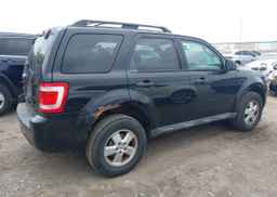 2010 FORD ESCAPE XLT